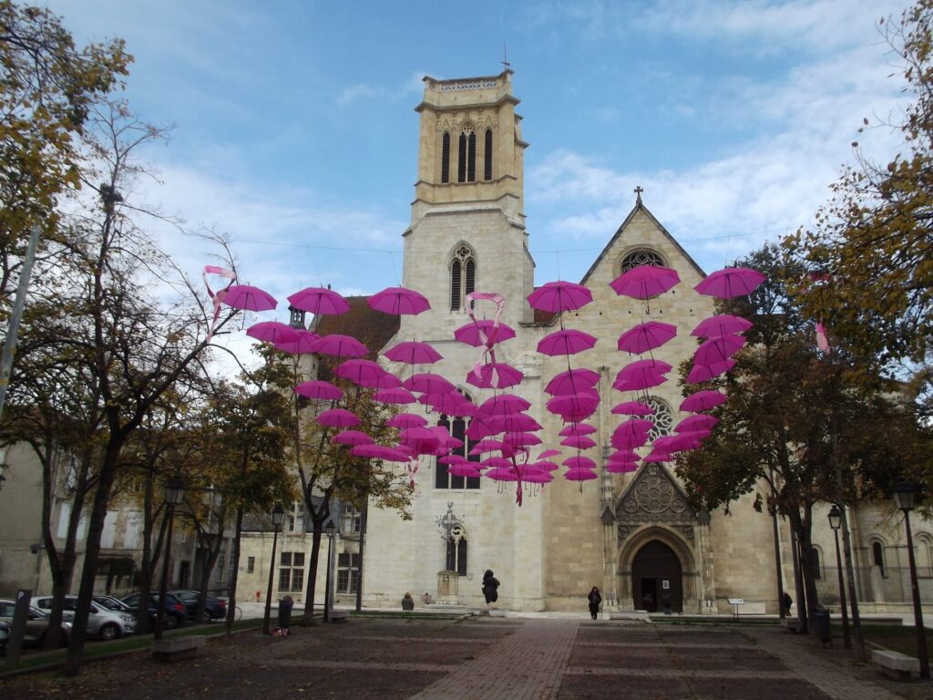 Cathédrale Saint-Caprais d'Agen